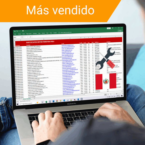 Base de Datos Sector Ferretero Perú