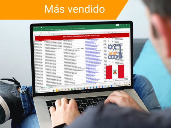 Base de Datos Grandes Empresas de Manufactura Perú